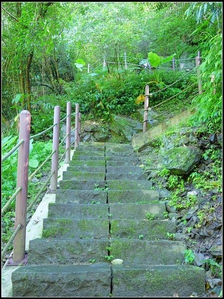 2020.07.05 烏來福山 ‧ 大羅蘭溪古圳步道