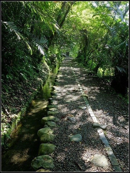 2020.07.05 烏來福山 ‧ 大羅蘭溪古圳步道