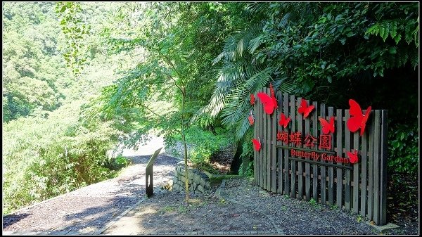 2020.07.05 烏來福山 ‧ 大羅蘭溪古圳步道