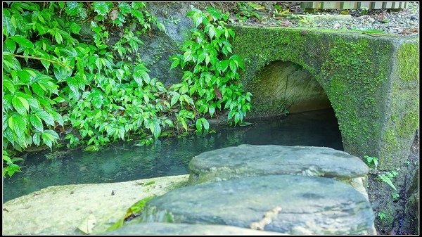 2020.07.05 烏來福山 ‧ 大羅蘭溪古圳步道