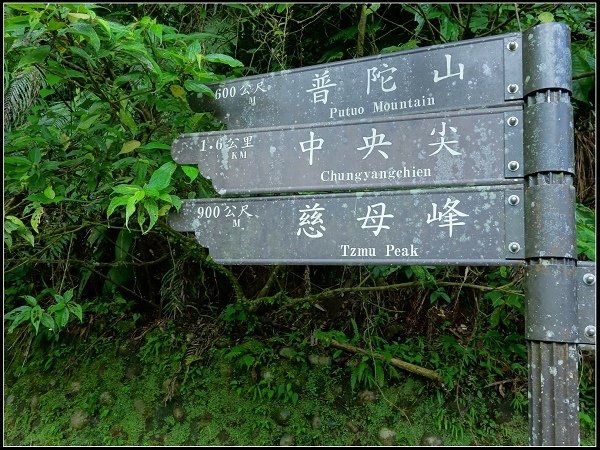 2020.06.14 平溪 ‧ 孝子山登山步道(孝子山、慈母