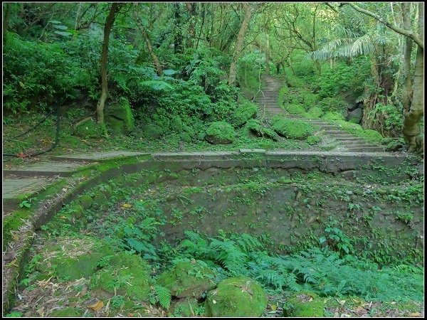 2020.06.14 平溪 ‧ 孝子山登山步道(孝子山、慈母