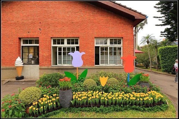 2020.02.15 士林官邸鬱金香展 ‧ 鬱見你真好