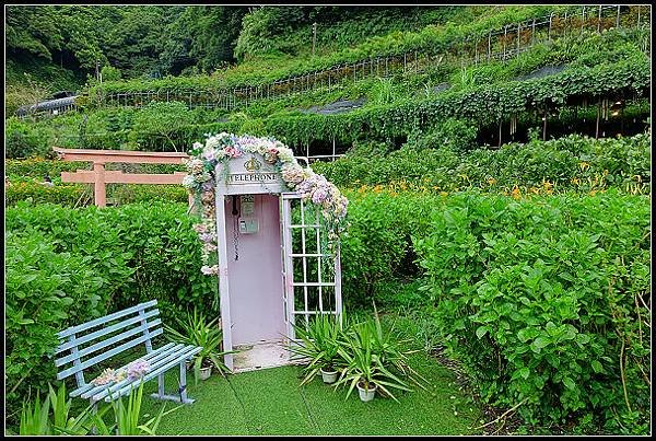 2024.08.18 台北陽明山 ‧ 竹子湖 ‧ 曹家花園金