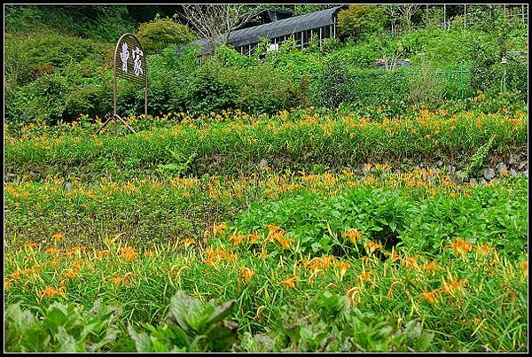 2024.08.18 台北陽明山 ‧ 竹子湖 ‧ 曹家花園金