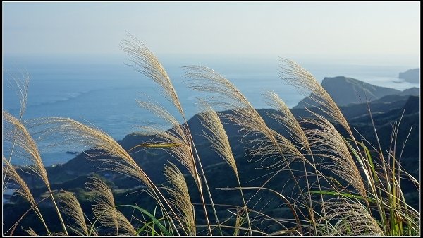 2020.01.04 瑞芳‧山尖古道