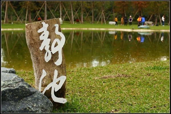 2017.12.29 秀巒楓情 &amp; 大樂之野景觀餐廳落羽松 