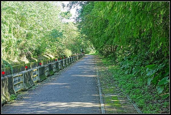 2024.10.06 【單車遊記】初訪桃園石門大圳(上)