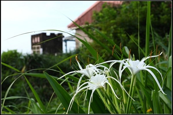 2017.06.25 鼻頭角步道 &amp; 深澳象鼻岩