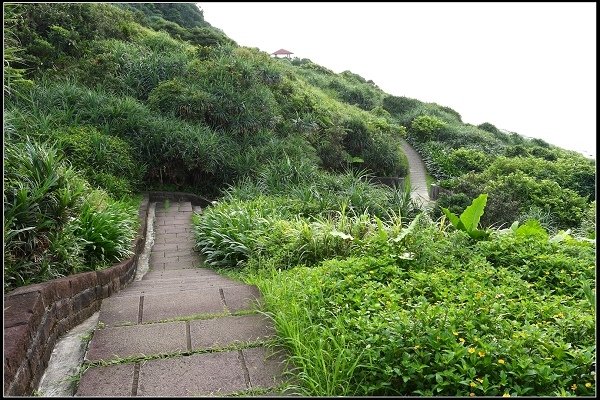 2017.06.25 鼻頭角步道 &amp; 深澳象鼻岩