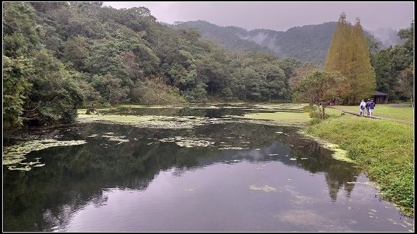 2019.11.25 宜蘭福山植物園