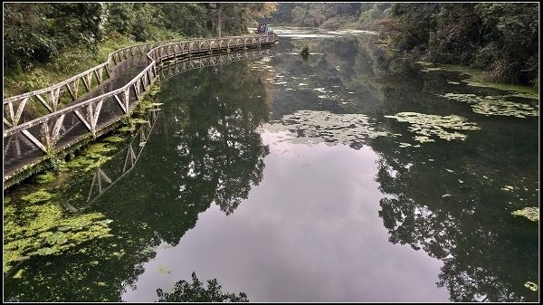 2019.11.25 宜蘭福山植物園