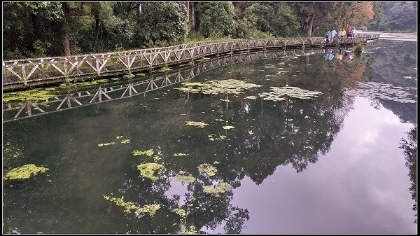 2019.11.25 宜蘭福山植物園