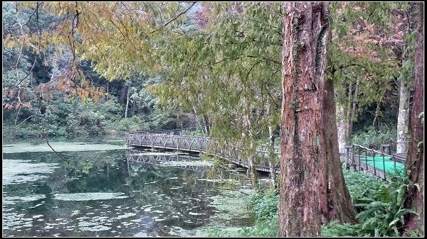 2019.11.25 宜蘭福山植物園