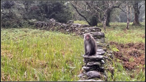 2019.11.25 宜蘭福山植物園