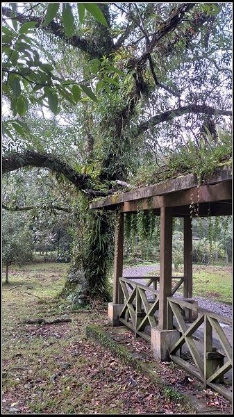 2019.11.25 宜蘭福山植物園