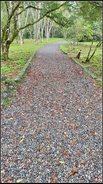 2019.11.25 宜蘭福山植物園