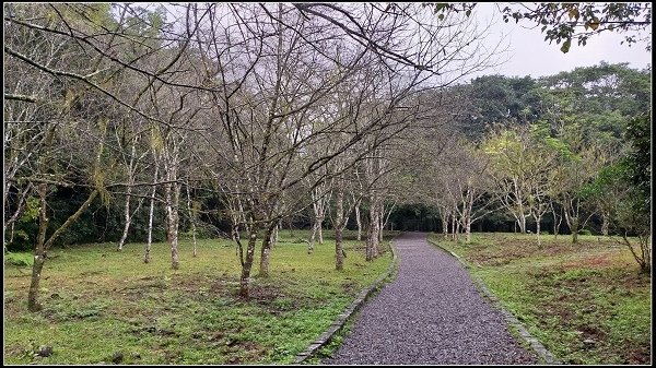 2019.11.25 宜蘭福山植物園