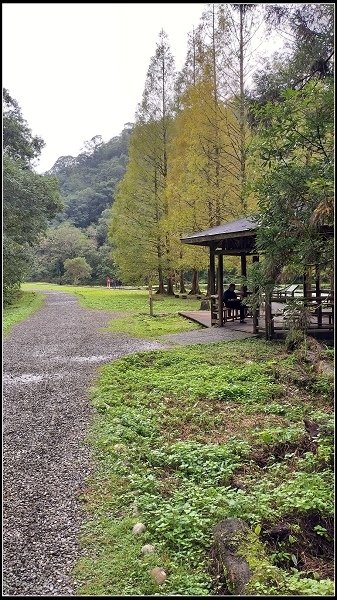 2019.11.25 宜蘭福山植物園