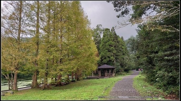 2019.11.25 宜蘭福山植物園