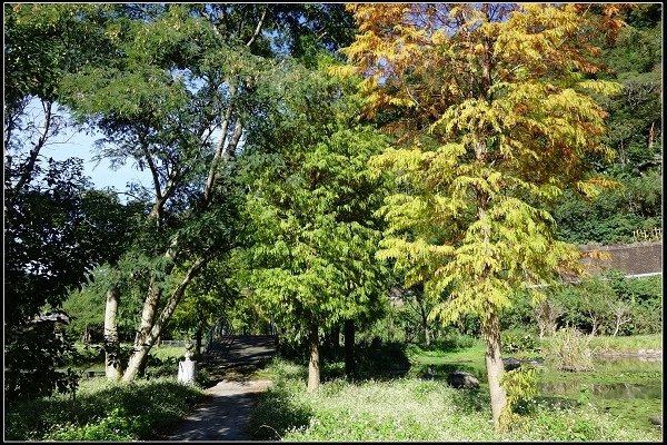 2017.12.15 新竹一日遊 ‧【關西牛欄河親水公園、東