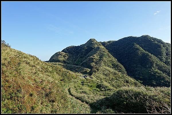 2024.12.01 瑞芳牡丹山 ‧ 賞芒花