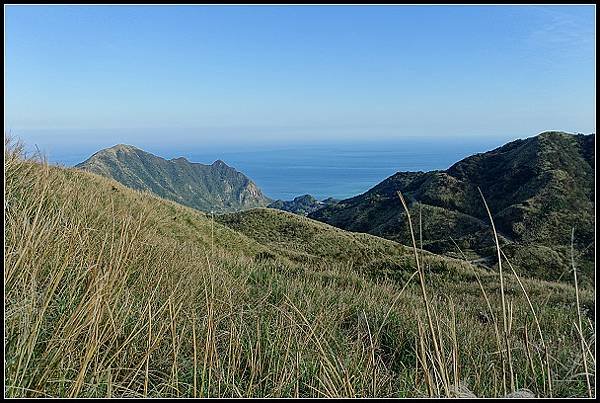 2024.12.01 瑞芳牡丹山 ‧ 賞芒花