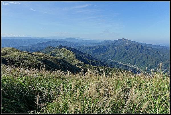 2024.12.01 瑞芳牡丹山 ‧ 賞芒花