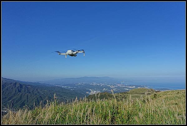 2024.12.01 瑞芳牡丹山 ‧ 賞芒花