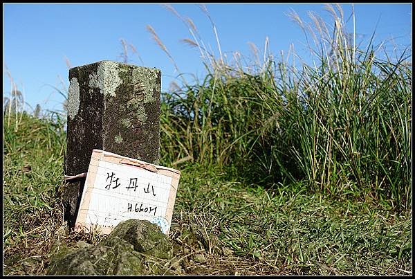 2024.12.01 瑞芳牡丹山 ‧ 賞芒花