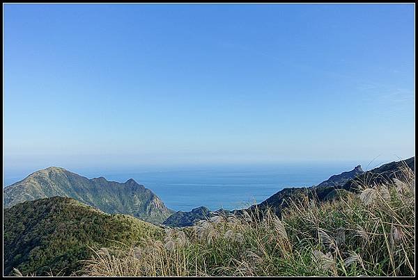 2024.12.01 瑞芳牡丹山 ‧ 賞芒花