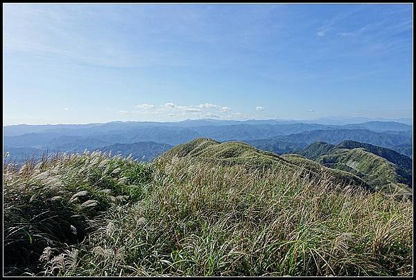 2024.12.01 瑞芳牡丹山 ‧ 賞芒花