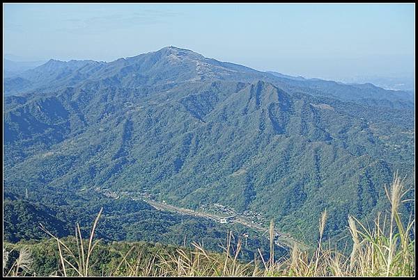 2024.12.01 瑞芳牡丹山 ‧ 賞芒花