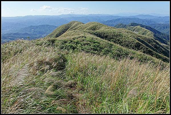 2024.12.01 瑞芳牡丹山 ‧ 賞芒花