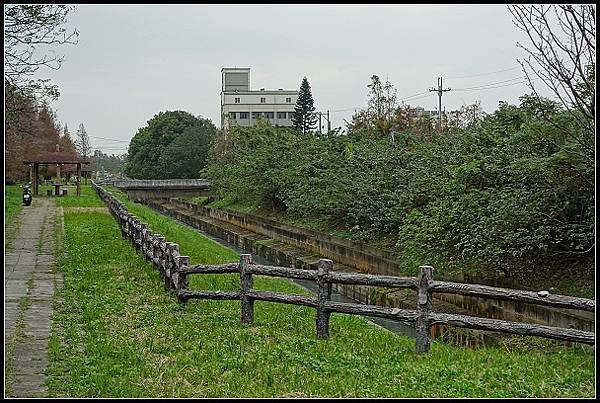 2025.01.01【單車遊記】桃園落羽松大道、石門大圳(下