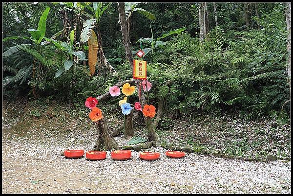 2025.05.03【油桐花】桃園大溪 ‧ 十一指古道 &amp; 