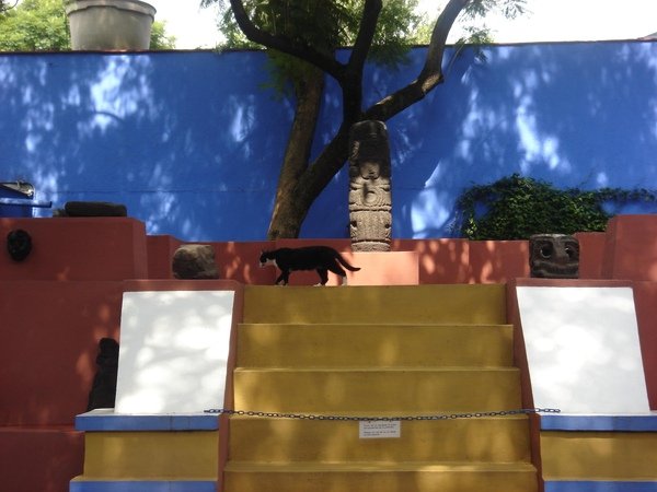 Frida Kahlo 在墨西哥城 Coyoacán 的 Casa Azul 卡薩阿祖爾（青瓦台）