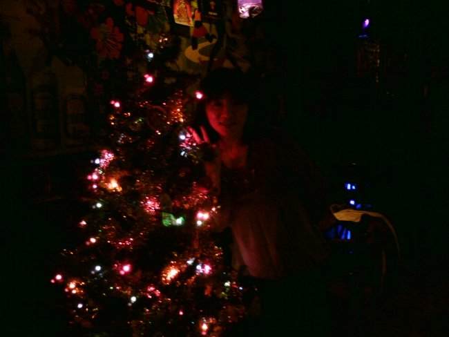 fly with X&apos;mas tree in Johnny Pub