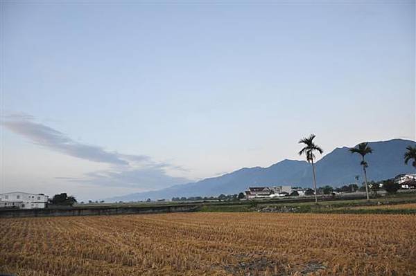20131123-24 244 (Small).jpg