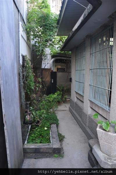 20141109 279 (Medium).jpg