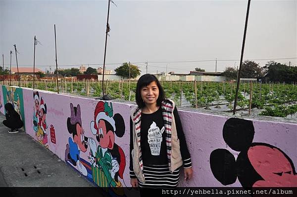 20150102 200 (Medium).jpg