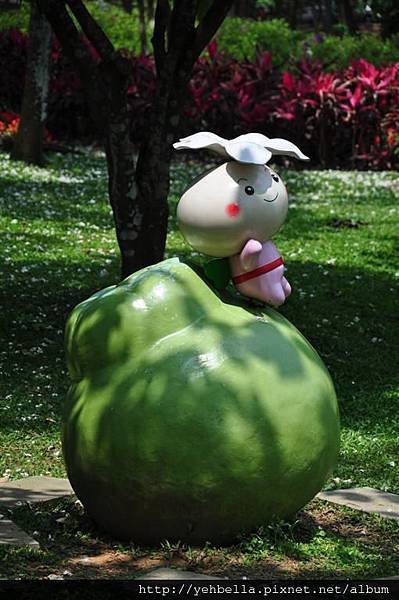 20150428 082 (Large).jpg