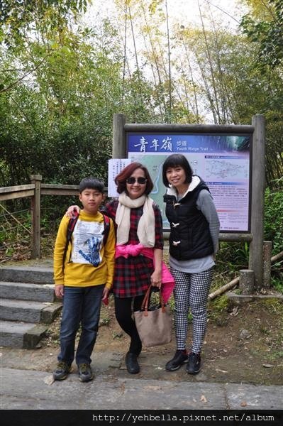 20150218 005 (Medium).jpg