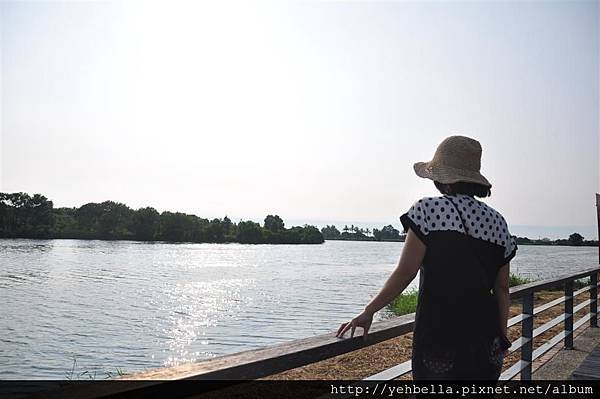 20150802 061 (Large).jpg