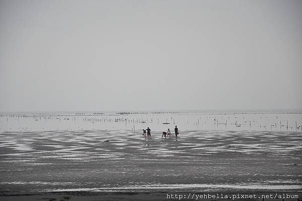 20170513_188.JPG