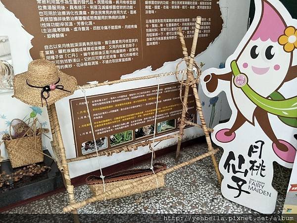 IMG20180606105725.jpg