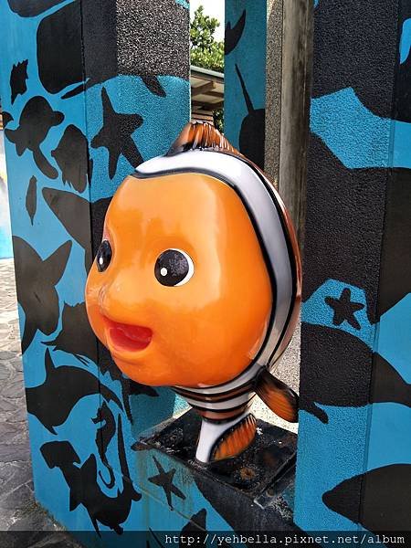 IMG20180812085200.jpg