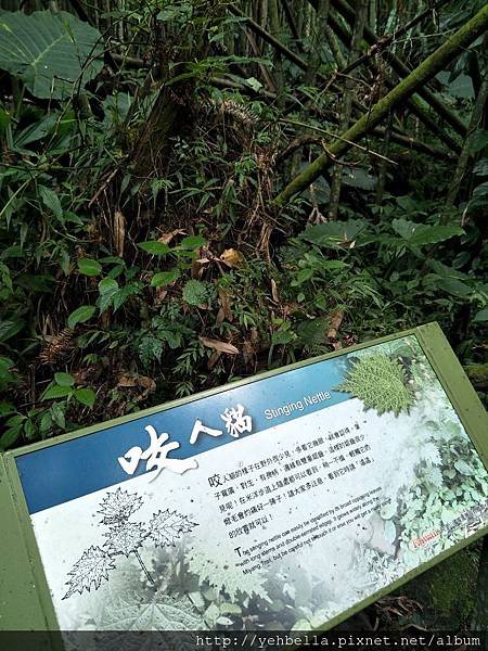IMG20190901120024.jpg