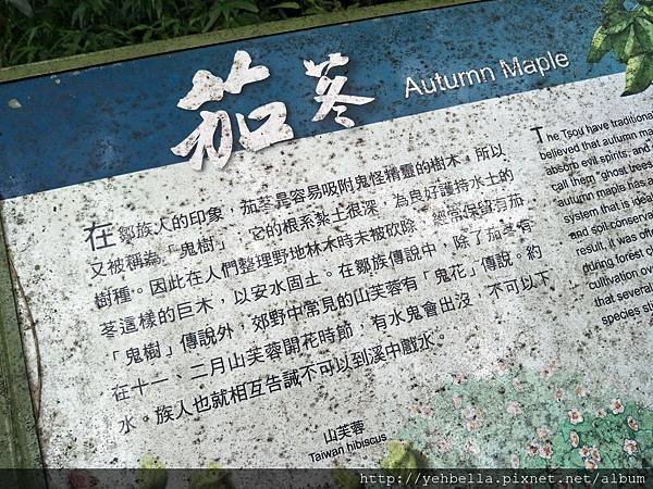 IMG20190901122400.jpg