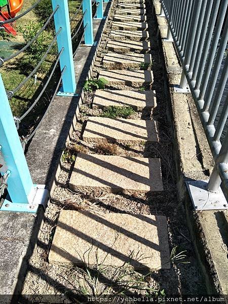 IMG20201010134623.jpg
